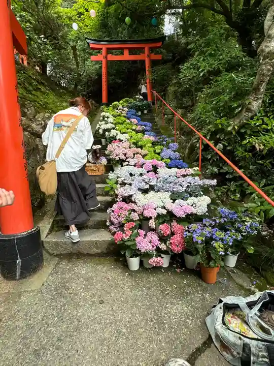 柳谷観音 楊谷寺(京都府)