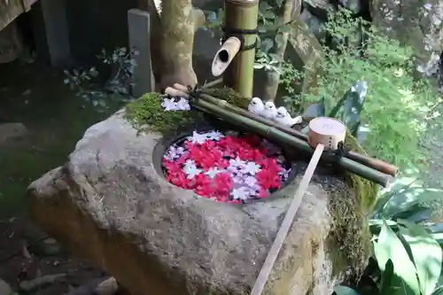 柳谷観音　楊谷寺の手水舎