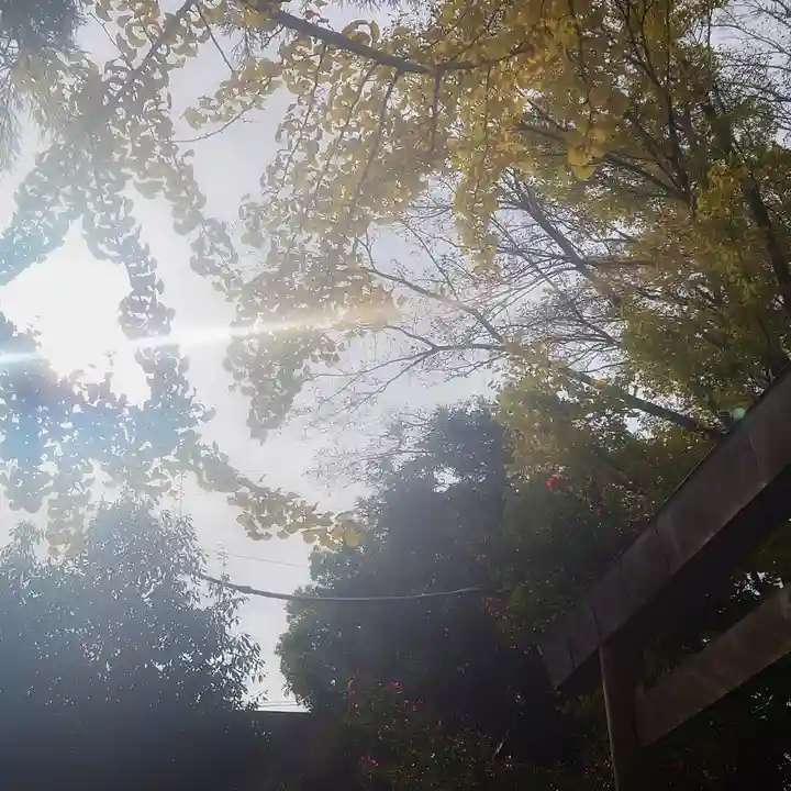 若宮神明社の自然