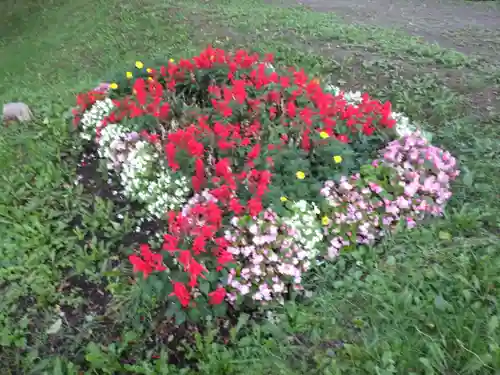 北湯沢三峯神社の自然