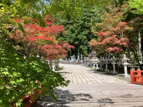 高野山金剛峯寺奥の院(和歌山県)