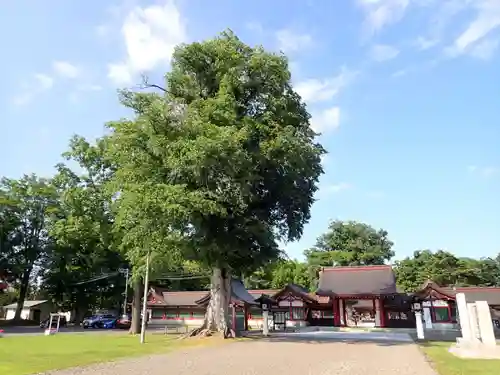 北海道護國神社のその他建物