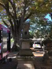 松本神社(長野県)