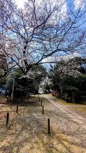 畑子安神社の自然