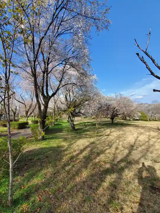 磯部稲村神社の自然