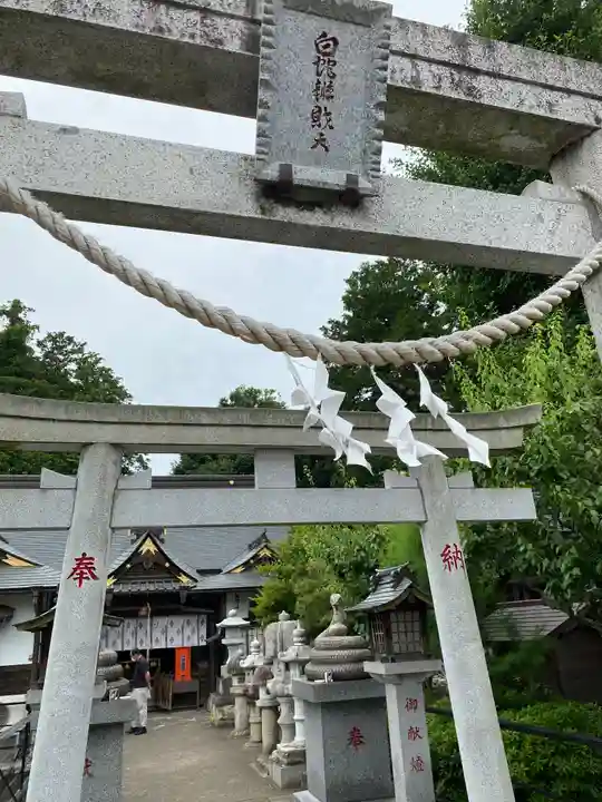 白蛇辨財天の鳥居