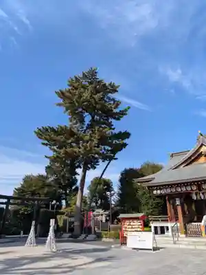 中野沼袋氷川神社(東京都)