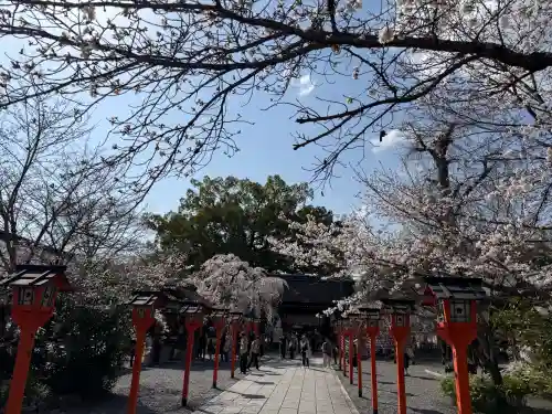 平野神社の{uncategorized: "未分類", other: "その他", undefined: "問題あり", building: "その他建物", grave: "お墓", sacred_gate: "鳥居", guardian: "狛犬", statue: "像", buddha: "仏像", history: "歴史", nature: "自然", garden: "庭園", animal: "動物", pagoda: "塔", temizu: "手水舎", mountain_gate: "山門・神門", sanctuary: "本殿・本堂", subordinate: "末社・摂社", art: "芸術", scenery: "景色", jizo: "地蔵", ema: "絵馬", goshuin: "御朱印", omikuji: "おみくじ", items: "授与品その他", amulet: "お守り", goshuincho: "御朱印帳", eats: "食事", festival: "お祭り", votive_dance: "神楽", shichigosan: "七五三参", wedding: "結婚式", experience: "体験その他", initially: "初詣", around: "周辺", anti_infection: "感染症対策"}