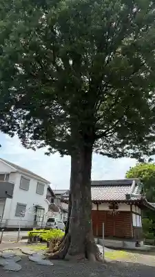 篠津神社(滋賀県)