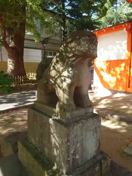 葛飾八幡宮の狛犬