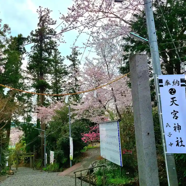 天宮神社のその他建物