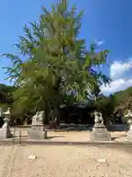 賀羅加波神社(広島県)