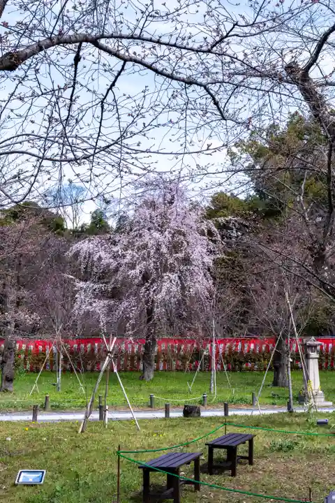 平野神社(京都府)