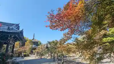 穴太寺(京都府)