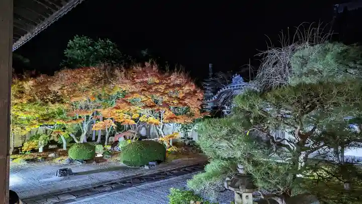妙顯寺(妙顕寺)(京都府)