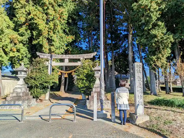 素盞嗚神社(樽井町宮前)の鳥居