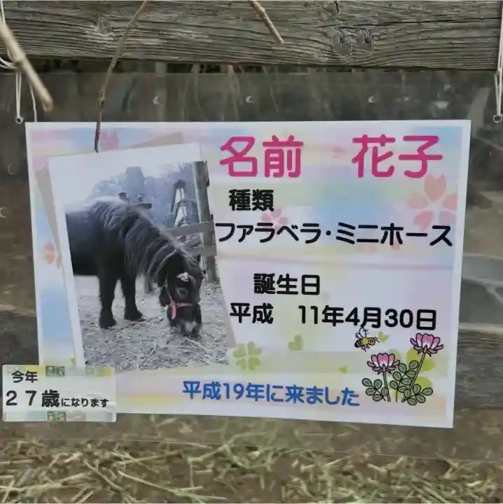 大石神社の{uncategorized: "未分類", other: "その他", undefined: "問題あり", building: "その他建物", grave: "お墓", sacred_gate: "鳥居", guardian: "狛犬", statue: "像", buddha: "仏像", history: "歴史", nature: "自然", garden: "庭園", animal: "動物", pagoda: "塔", temizu: "手水舎", mountain_gate: "山門・神門", sanctuary: "本殿・本堂", subordinate: "末社・摂社", art: "芸術", scenery: "景色", jizo: "地蔵", ema: "絵馬", goshuin: "御朱印", omikuji: "おみくじ", items: "授与品その他", amulet: "お守り", goshuincho: "御朱印帳", eats: "食事", festival: "お祭り", votive_dance: "神楽", shichigosan: "七五三参", wedding: "結婚式", experience: "体験その他", initially: "初詣", around: "周辺", anti_infection: "感染症対策"}