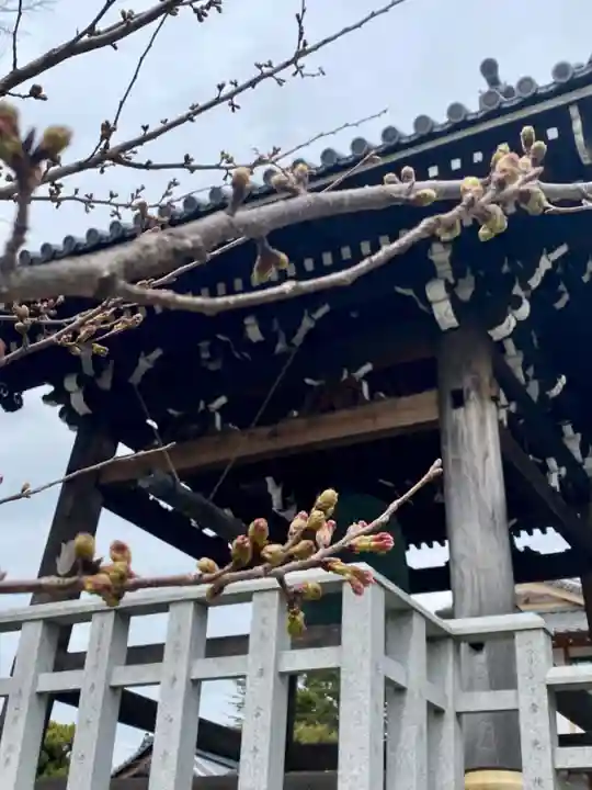 くろ谷 金戒光明寺(京都府)
