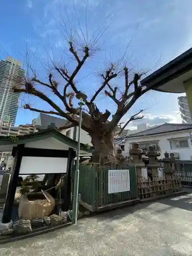 二宮神社(兵庫県)