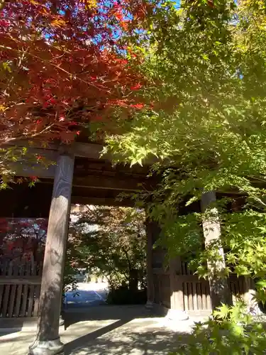 遍照院の山門・神門