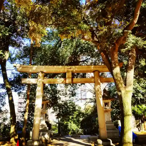 赤坂氷川神社の鳥居