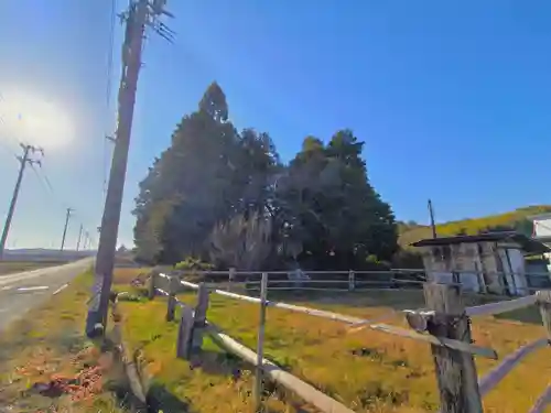 林崎社（小山）の自然