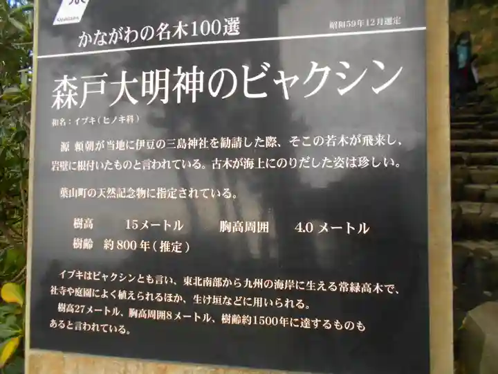 森戸大明神(森戸神社)の歴史