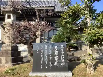 観音寺のその他建物