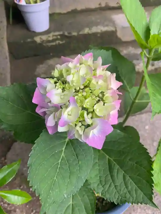 彦嶽宮(熊本県)