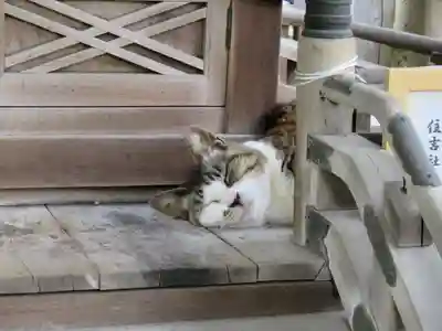 白山神社(東京都)
