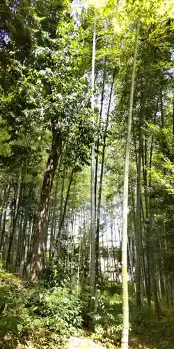 向日神社(京都府)