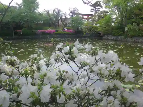 鶴岡八幡宮の庭園