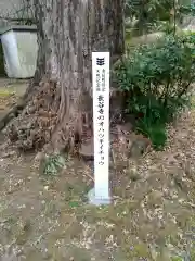 長谷寺の自然