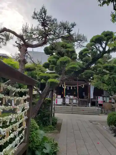 鳩森八幡神社(東京都)