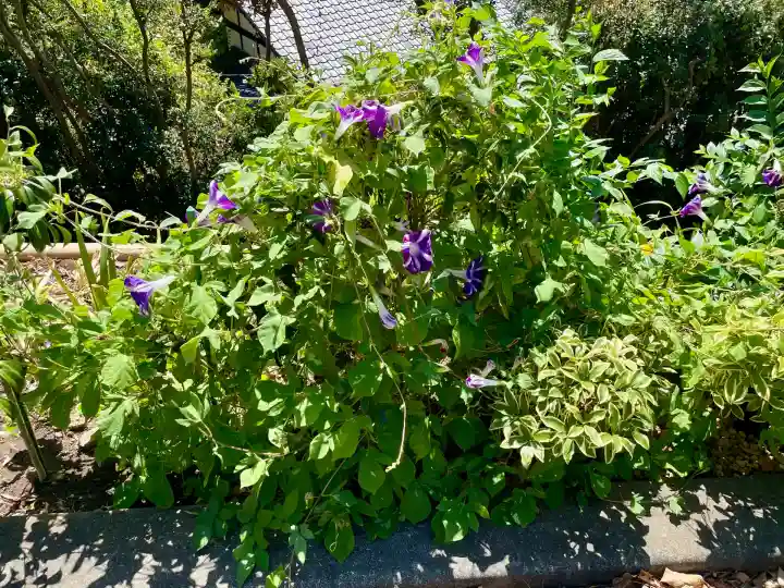白雲庵(神奈川県)