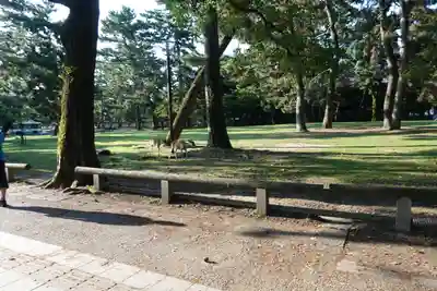 興福寺(奈良県)