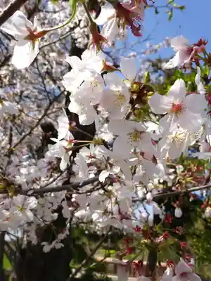 武蔵第六天神社(埼玉県)