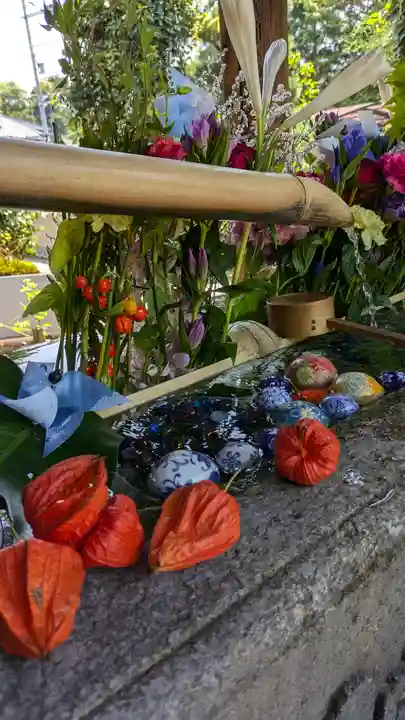 勝林寺(京都府)