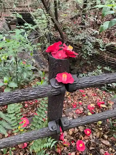 熱田神宮の自然