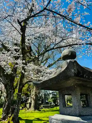 守りの神 藤基神社(新潟県)