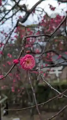 北野天満宮(京都府)