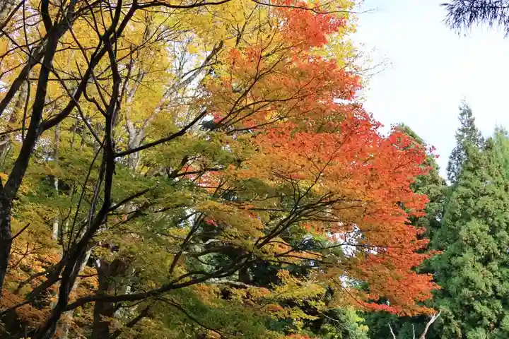 磐椅神社の自然