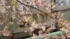 晴明神社の自然