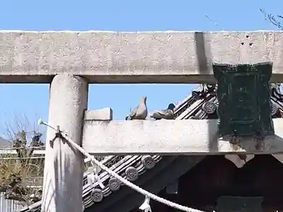 神明社(南押切神明社)の鳥居