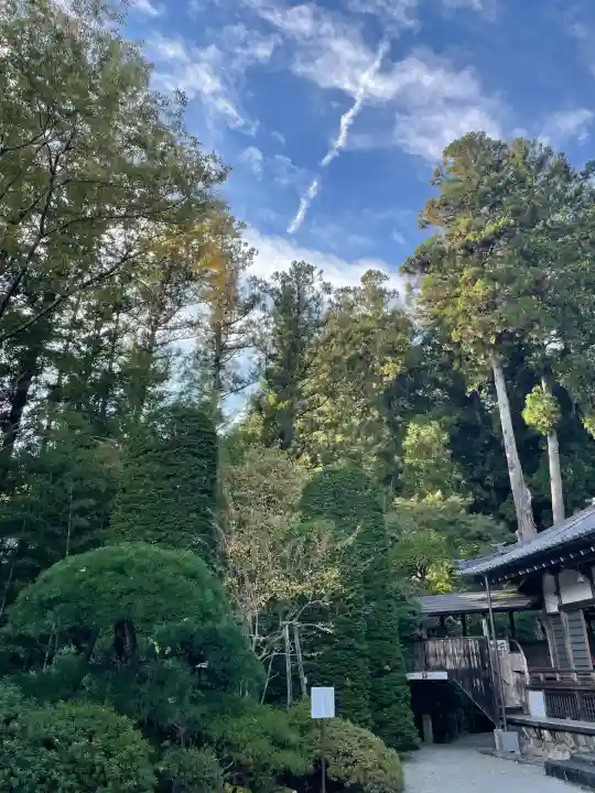 玉泉寺(埼玉県)
