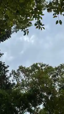 陸奥総社宮(宮城県)