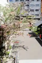 札幌祖霊神社の景色