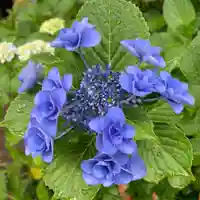 豊景神社の自然