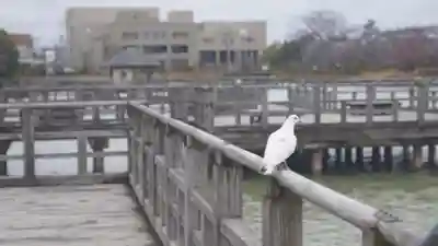 長岡天満宮(京都府)
