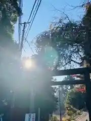 太平山神社の鳥居